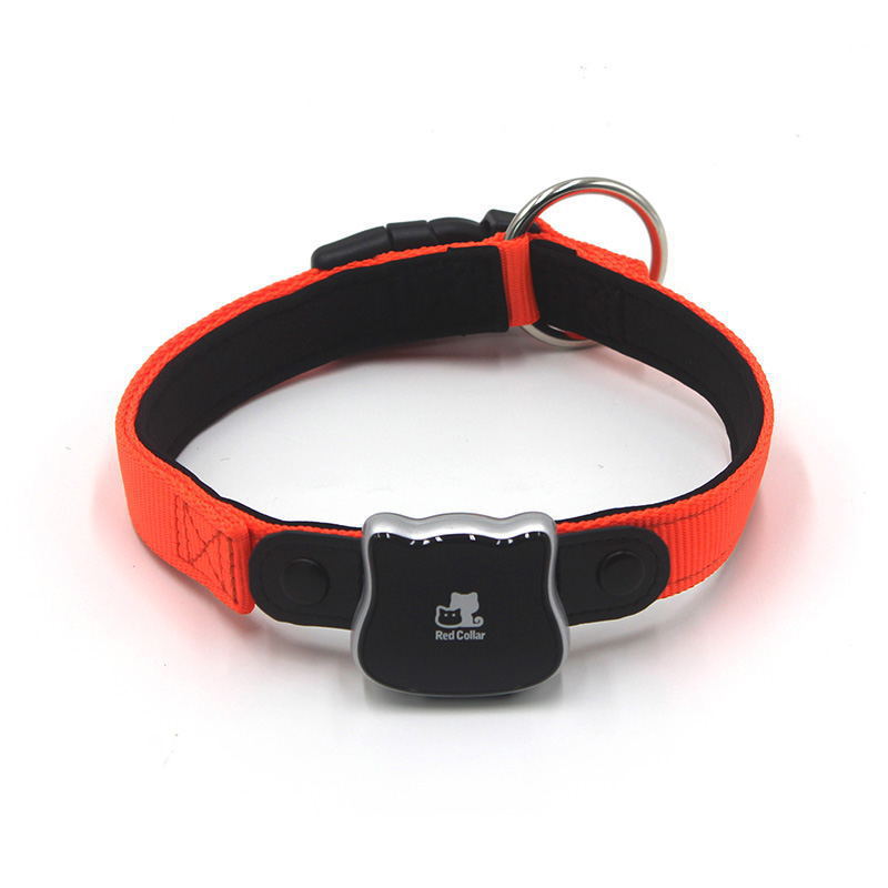 GPS Tracker Halsband — Echtzeit-Ortung