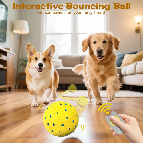Interaktiver Hundeball — 3 Spielmodi – Produktbild 2