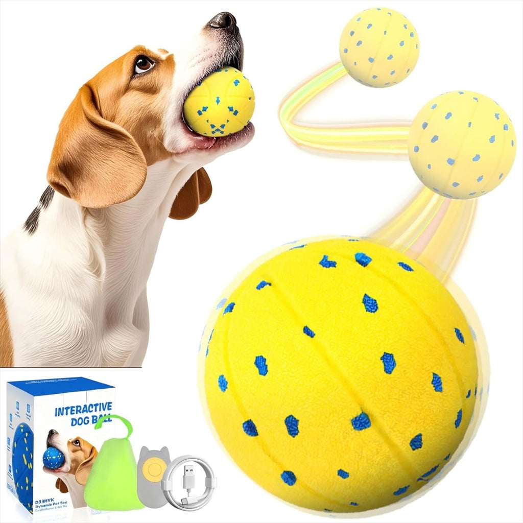 Interaktiver Hundeball — 3 Spielmodi